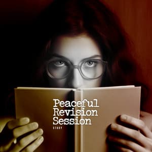 Peaceful Revision Session - Study