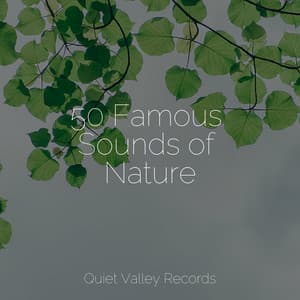 50 Famous Sounds of Nature - Sleep Sounds
