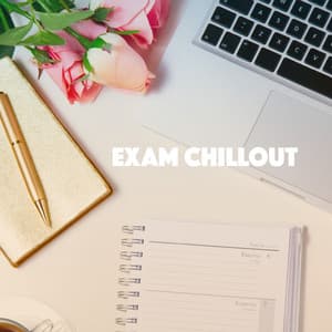 Exam Chillout - Moonlight Sonata