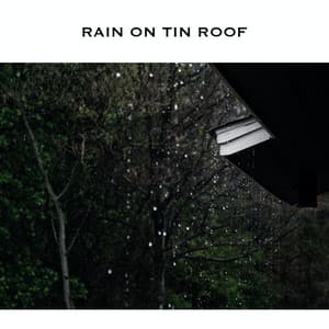 Rain on Tin Roof - Rain Radiance