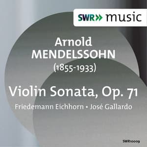 Arnold Mendelssohn: Violin Sonata, Op. 71 - Arnold Mendelssohn