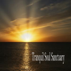 Tranquil Soul Sanctuary - Música Relajante