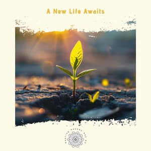 A New Life Awaits: Steps to Transformation and Renewal - Healing Sounds 432 Hz