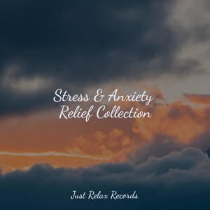 Stress & Anxiety Relief Collection - Baby Lullaby