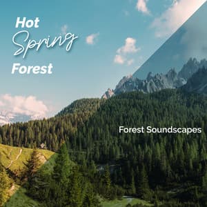 Hot Spring Forests - Forest Soundscapes