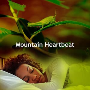 Mountain Heartbeat - Kings of Nature