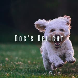 Dog's Delight: Chill Sounds with Nature's Symphonies - Nature & Sounds Background