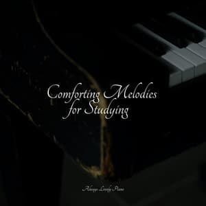 Comforting Melodies for Studying - Exam Study Classical Music Orchestra