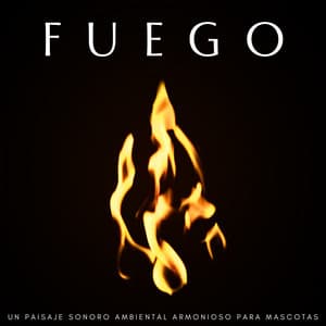 Fuego: Un Paisaje Sonoro Ambiental Armonioso Para Mascotas - Sonidos de fuego de la naturaleza mística