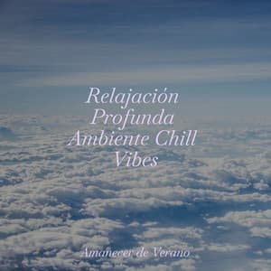 Relajación Profunda Ambiente Chill Vibes - Masajes Spas