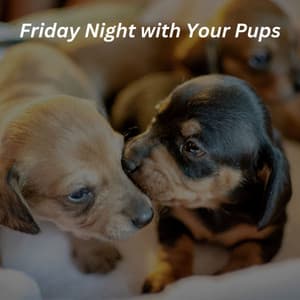 Friday Night with Your Pups - Cafe Musica Classicos