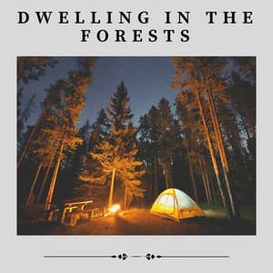 Dwelling in the Forests - Nature Ambience