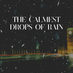 The Calmest Drops of Rain - Clear Mind Raining