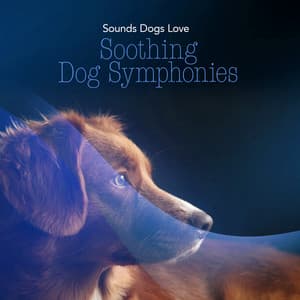 Soothing Dog Symphonies - Sounds Dogs Love