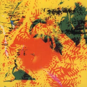 Young Person's Guide to Phill Niblock - Phill Niblock