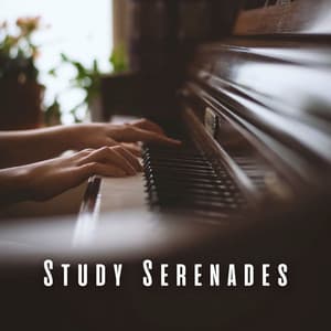 Study Serenades: Piano Meditations for Concentrated Mind - Study Music And Piano Music
