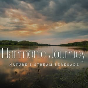 River's Harmonic Journey: Nature's Stream Serenade - The One-Lane Bridge