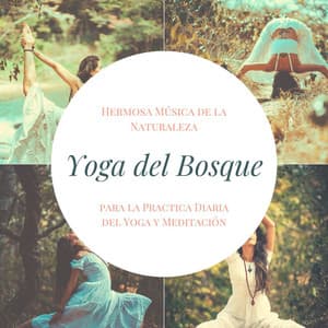 Yoga del Bosque: Hermosa Música de la Naturaleza para la Practica Diaria del Yoga y Meditación - Instancia Naturales
