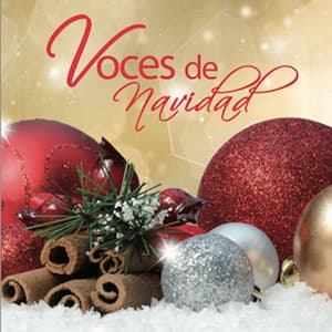 Coro Infantil Voces de Belem - Coro Infantiles Voces De Belem