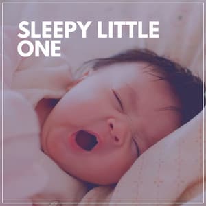 Sleepy Little One - BabySleepDreams