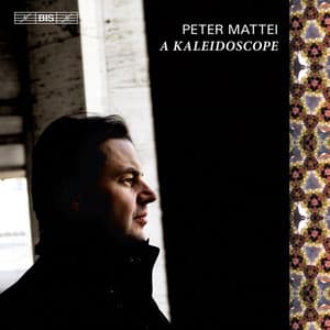 A Kaleidoscope - Peter Mattei