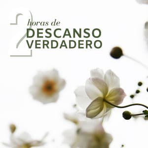 2 Horas de Descanso Verdadero: La Mejor Música para Relajarse y Descansar - Dulces Sueños