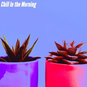 Chill In the Morning - Music for Cooking Playlist
