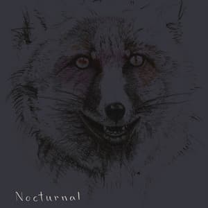 Nocturnal - Jesper Zeuthen