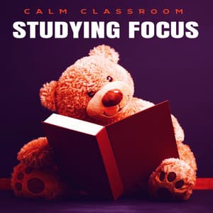 Studying Focus - Calm Classroom