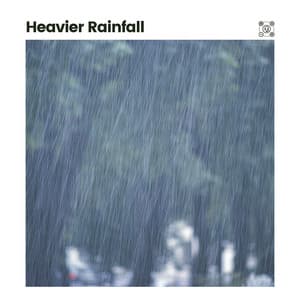 Heavier Rainfall - Recording Nature
