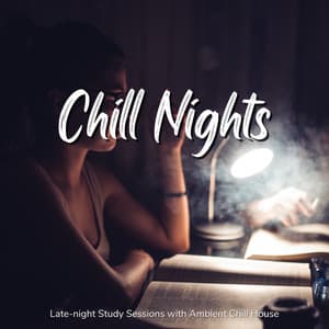 Chill Nights - Late-night Study Sessions with Ambient Chill House - Café Lounge Resort