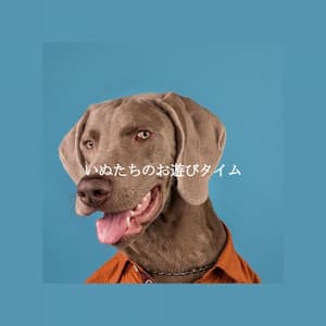 いぬたちのお遊びタイム - Jazz para Estudiar