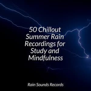 50 Chillout Summer Rain Recordings for Study and Mindfulness - Japanese Relaxation and Meditation