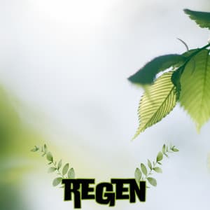 Earthbound - Regengeräusche