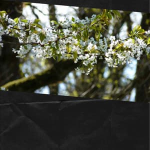 Warm - Coffee Time - Música Alegre para Cafe