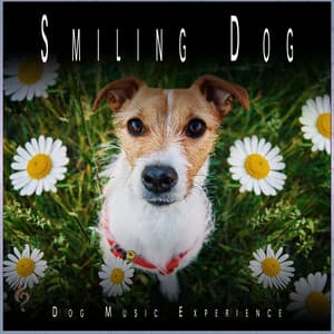 Smiling Dog: Peaceful Cuddle and Sleeping Dog Moments - Dog Music Experience