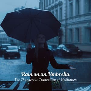 Rain on an Umbrella: The Thunderous Tranquility of Meditation - Rain Meditations