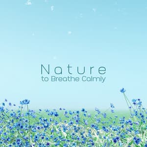 Nature to Breathe Calmly: Sleep Solution Music with Water Sounds, Anxiety Relief before Bed and Slow Thoughts - Calming Music Sanctuary