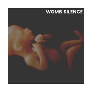 Womb Silence - Womb Sound
