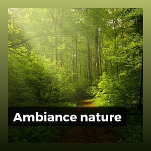 Ambiance nature - Oasis de Musique Nature Relaxante