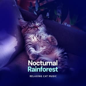 Nocturnal Rainforest - Relaxing Cat Music