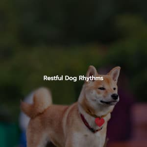 Restful Dog Rhythms - Suave Jazz Soundtracks