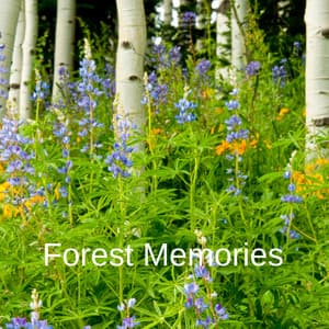 Forest Memories - Serenity of Sound