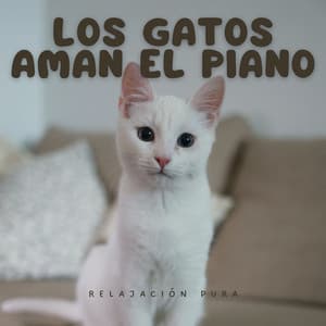 Los Gatos Aman El Piano: Relajación Pura - Los gatos del jazz