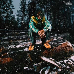 Out The Woods - Tony Shhnow