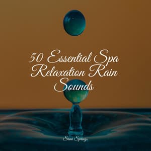 50 Essential Spa Relaxation Rain Sounds - Study Concentration