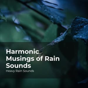 Harmonic Musings of Rain Sounds - Heavy Rain Sounds