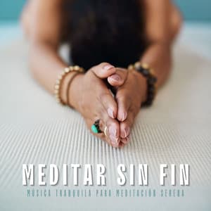 Meditar Sin Fin: Música Tranquila para Meditación Serena - Meditación Interna