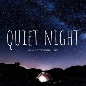 Quiet Night - Nu Meditation Music