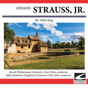 J. Strauss, Jr: The Waltz King - Johann Strauss II